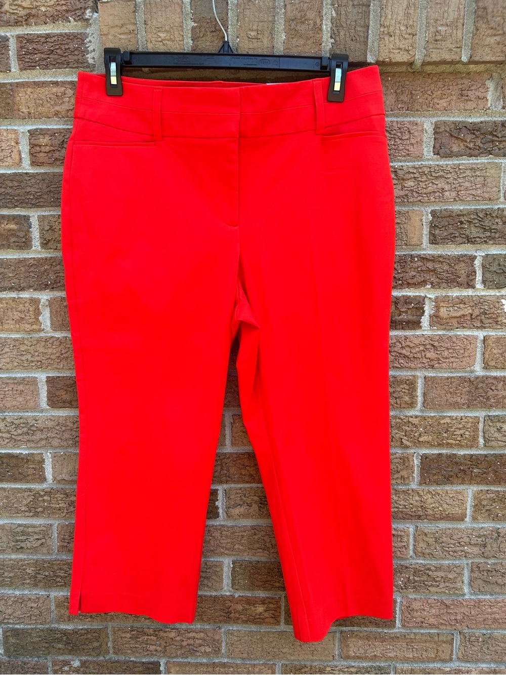 NWT Lane Bryant flex waistband burnt orangeCapris size 16